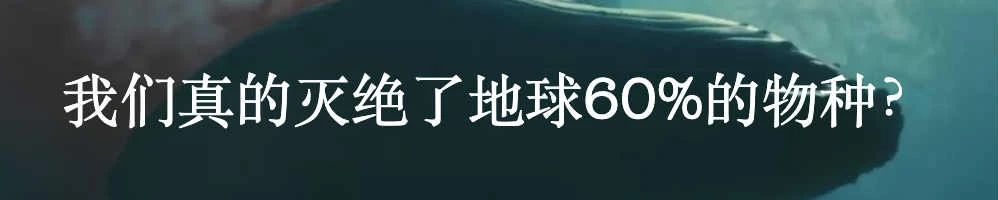 拯救野生动物计划也许弊大于利 野生动物 计划 GETTY利维坦 买卖 宣传语 要害 问题 背后 利益 暴利 崇真艺客