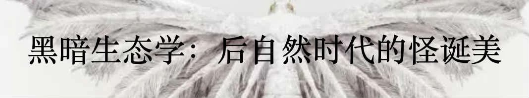 拯救野生动物计划也许弊大于利 野生动物 计划 GETTY利维坦 买卖 宣传语 要害 问题 背后 利益 暴利 崇真艺客