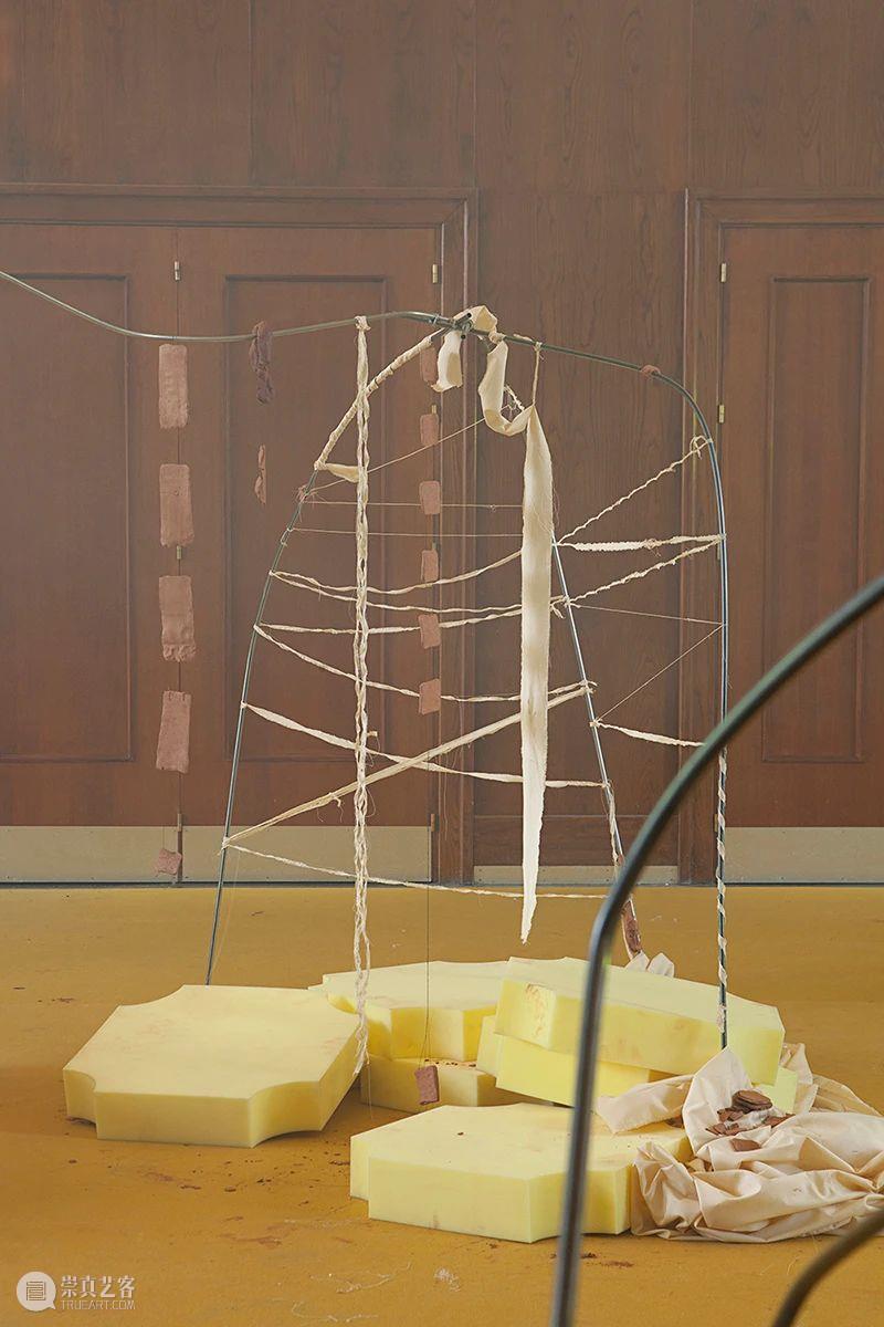 同行/欢迎来到临时应许之地 | Parasite 2.0 同行 应许之地 建筑设计师 Stefano Colombo Cosentino Marullo 米兰 布鲁塞尔 部门 崇真艺客
