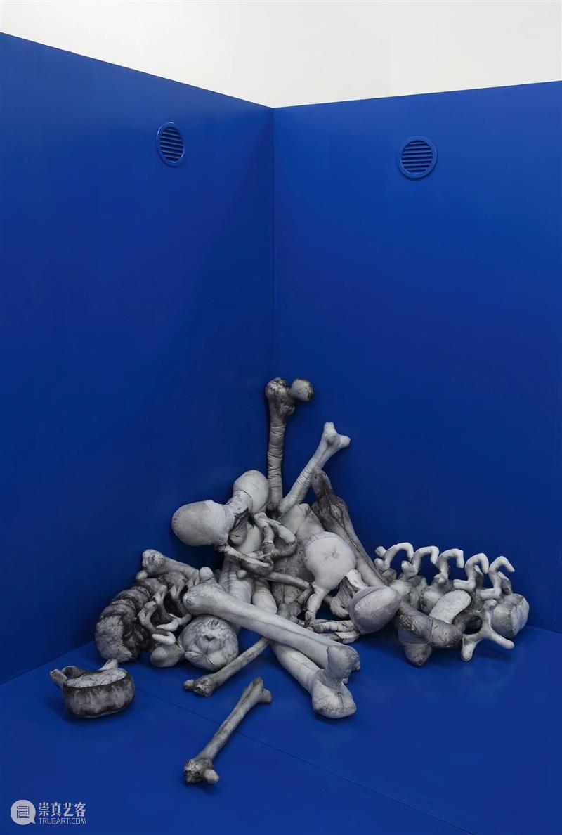 同行/欢迎来到临时应许之地 | Parasite 2.0 同行 应许之地 建筑设计师 Stefano Colombo Cosentino Marullo 米兰 布鲁塞尔 部门 崇真艺客