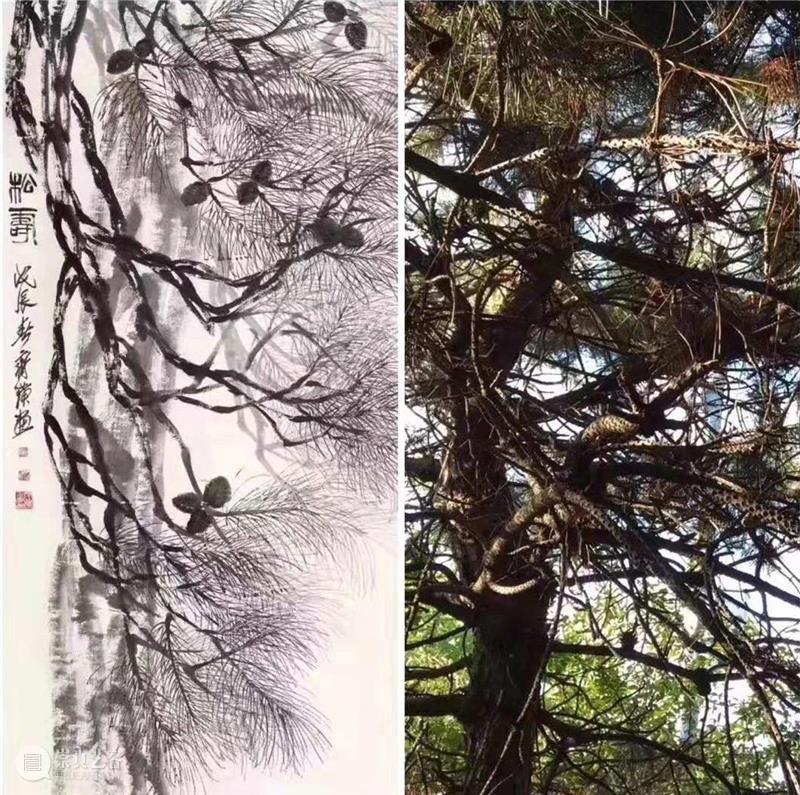 今日读书丨齐白石:从木匠到巨匠 木匠 丨齐白石 巨匠 TODAYREADING 人生 事情 特莱斯 今日美术馆 中心 齐白石的绘画世界 崇真艺客