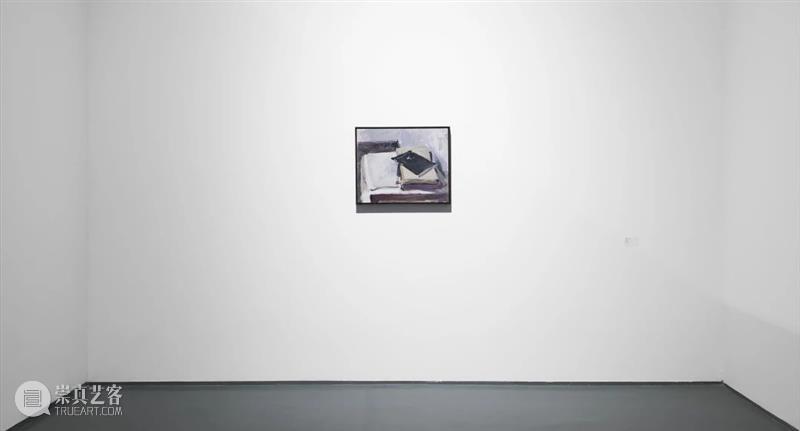蜂巢艺术家张德建丨受邀参展 『艺术北京·发现』特别展览策划 艺术 北京 蜂巢 张德建 艺术家 当代 中心 时间 公众 地址 崇真艺客
