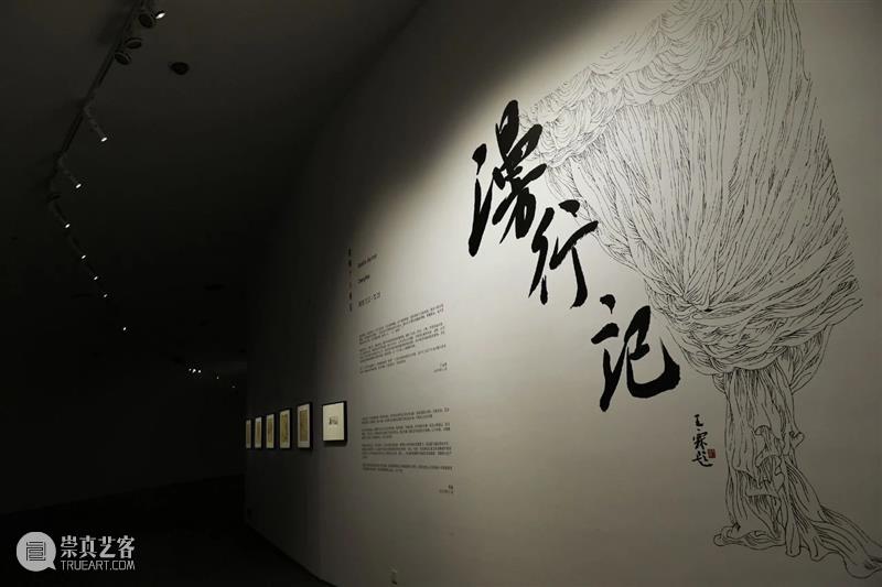 线的生长——线描体验工作坊 | AMNUA公教 线描 工作坊 AMNU 公教 漫行记 程楠 个人 项目 活动 老师 崇真艺客