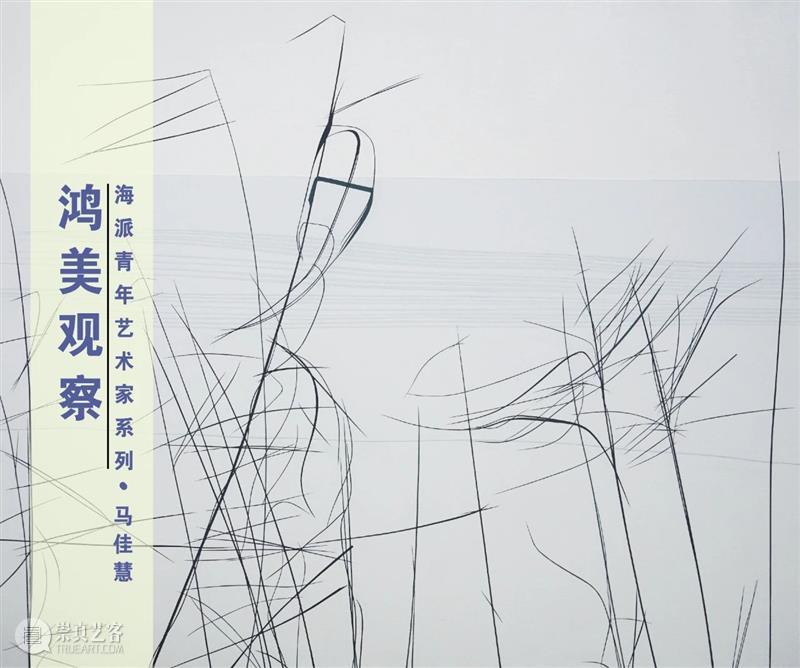 鸿美观察:马佳慧 鸿美术馆 鸿美 马佳慧 系列 微信 鸿美术馆办馆 宗旨 主线 上海 中青年 画家 崇真艺客