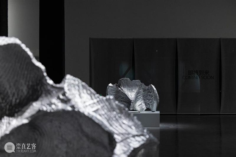 宋冬、隋建国与萧昱参与金鹰美术馆开幕展 金鹰美术馆 宋冬 隋建国 萧昱 开幕展 群展 全景 世界 因缘际会 目前 崇真艺客