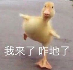 《熊出没》回归春节档；赵丽颖王一博《有翡》开播 熊出没 有翡 赵丽颖 王一博 影视 好剧 小豆 系列 电影 狂野大陆 崇真艺客