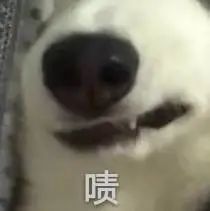 《熊出没》回归春节档；赵丽颖王一博《有翡》开播 熊出没 有翡 赵丽颖 王一博 影视 好剧 小豆 系列 电影 狂野大陆 崇真艺客