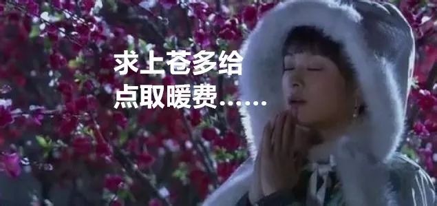 清宫独家保暖法，有多贵？ 崇真艺客