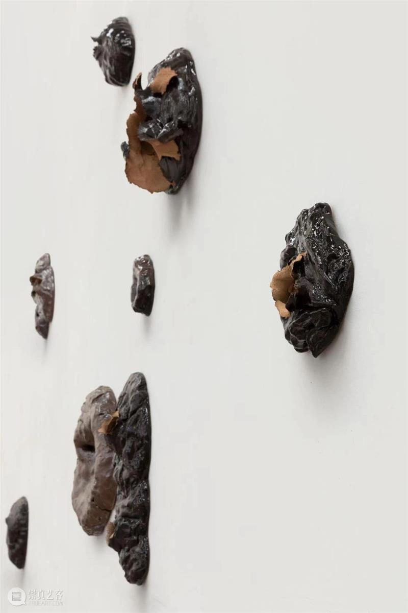 展讯 | 必要的冗余：胡庆雁作品展 胡庆雁 作品展 展讯 策展人 顾振清 先生 冗余 艺术 未来 社会 崇真艺客