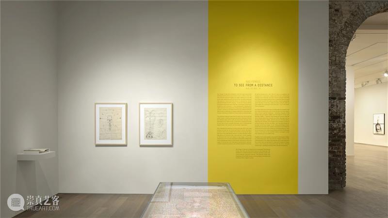 回顾 | 郭凤怡美国美术馆巡展“遥视” 遥视 郭凤怡美国美术馆 郭凤怡 纽约绘画中心 萨凡纳艺术与设计学院美术馆 艺术家 美国 美术 馆个展 整体 崇真艺客