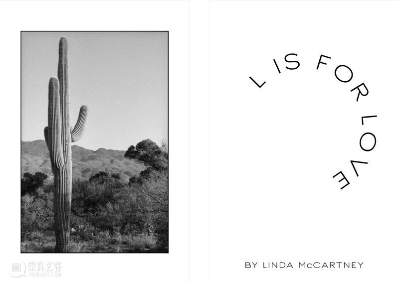 邬建安 x Stella McCartney: A to Z 宣言，关于过去与未来 McCartney 宣言 过去 未来 英国 疫情 封城 情况 创意 总监 崇真艺客