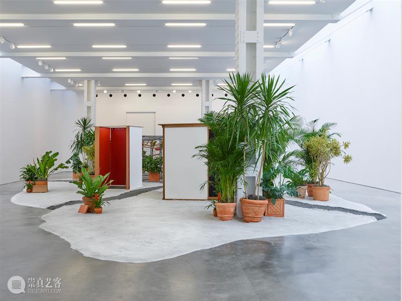 展评 | 何里欧·奥迪塞卡 (Hélio Oiticica) 「热带主义」| ARTFORUM Hélio Oiticica 何里欧 奥迪 热带主义 展评 ARTFORUM Tropicália Wood mesh 崇真艺客