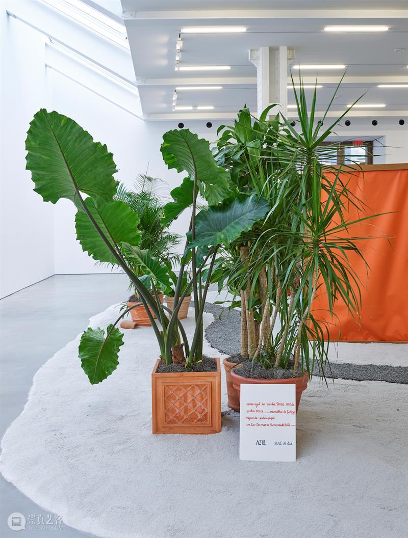 展评 | 何里欧·奥迪塞卡 (Hélio Oiticica) 「热带主义」| ARTFORUM Hélio Oiticica 何里欧 奥迪 热带主义 展评 ARTFORUM Tropicália Wood mesh 崇真艺客