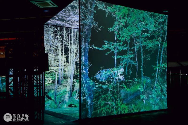 深圳12月 | 7个不可错过的新媒体艺术展 深圳 艺术展 新媒体 海上世界文化艺术中心中洲未来实验室 京基 艺术 空间 深圳湾 万象城 华侨城创意文化园 崇真艺客