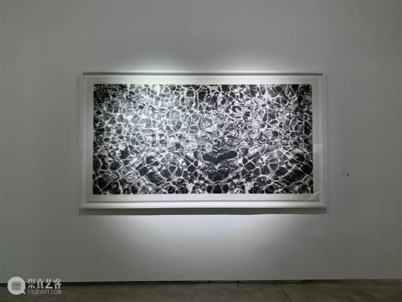 亚洲现场 | 陈琦受邀参展2020艺术北京·发现 艺术 北京 陈琦 现场 亚洲 PLUS 画廊 Plus 策展人 Curator 崇真艺客