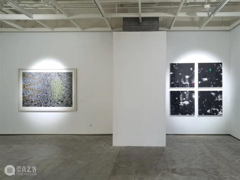 亚洲现场 | 陈琦受邀参展2020艺术北京·发现 艺术 北京 陈琦 现场 亚洲 PLUS 画廊 Plus 策展人 Curator 崇真艺客
