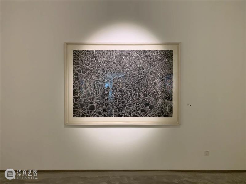 亚洲现场 | 陈琦受邀参展2020艺术北京·发现 艺术 北京 陈琦 现场 亚洲 PLUS 画廊 Plus 策展人 Curator 崇真艺客