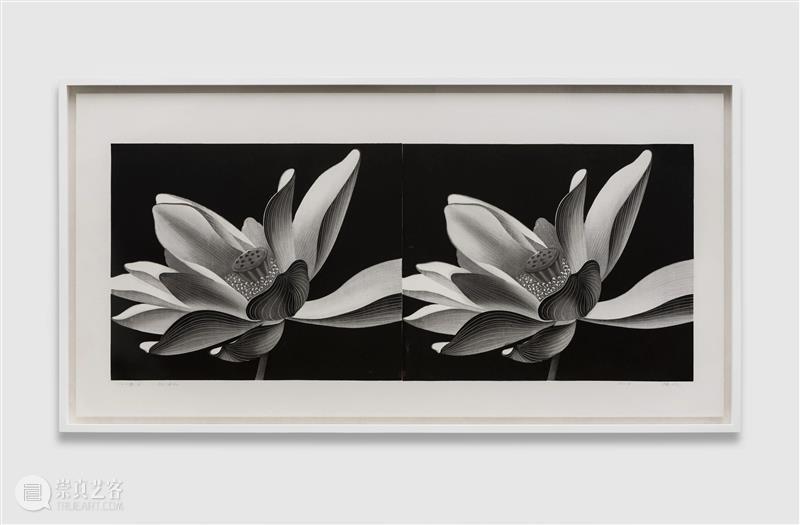 亚洲现场 | 陈琦受邀参展2020艺术北京·发现 艺术 北京 陈琦 现场 亚洲 PLUS 画廊 Plus 策展人 Curator 崇真艺客