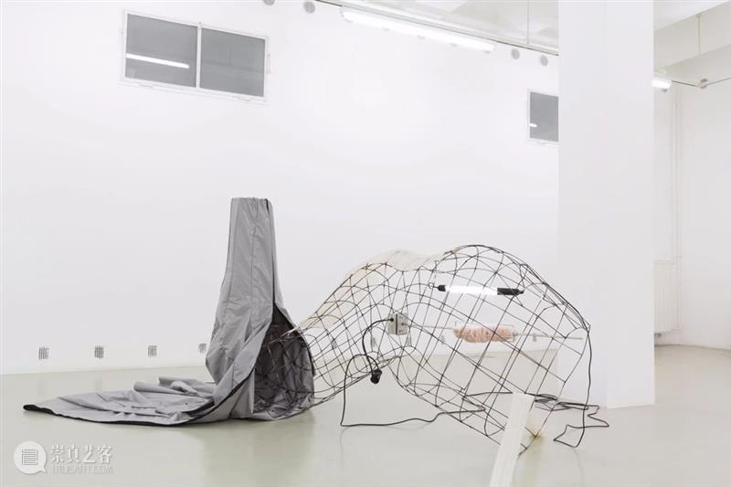 同行/异形降临 | Pakui Hardware Pakui 同行 异形 立陶宛 艺术家 Ugnius Gelguda 二人 艺术 小组 崇真艺客