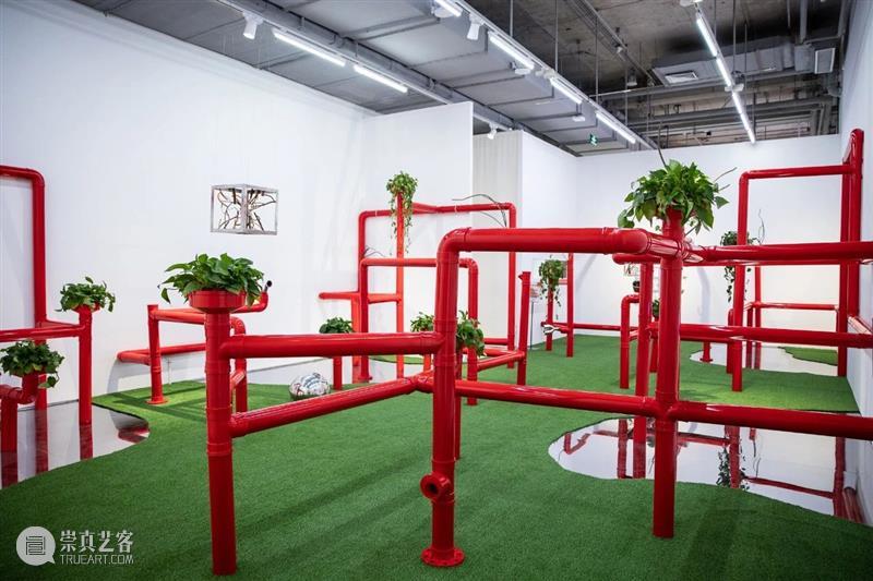 时代·活动| “共情·联接”展览媒体专场 媒体 专场 活动 时代 艺术家 亓梦婕 牛文博 费俊 耿雪 黄筱茜 崇真艺客
