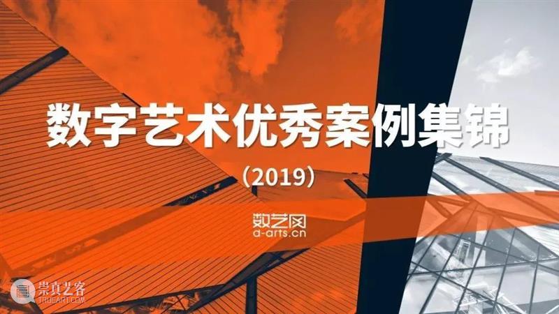 【11G 超清版本 】PPT2019,数艺网年度分享,数字艺术优秀案例集锦 数字 艺术 版本 集锦 年度 案例 以来 PPT 视频 马赛克 崇真艺客