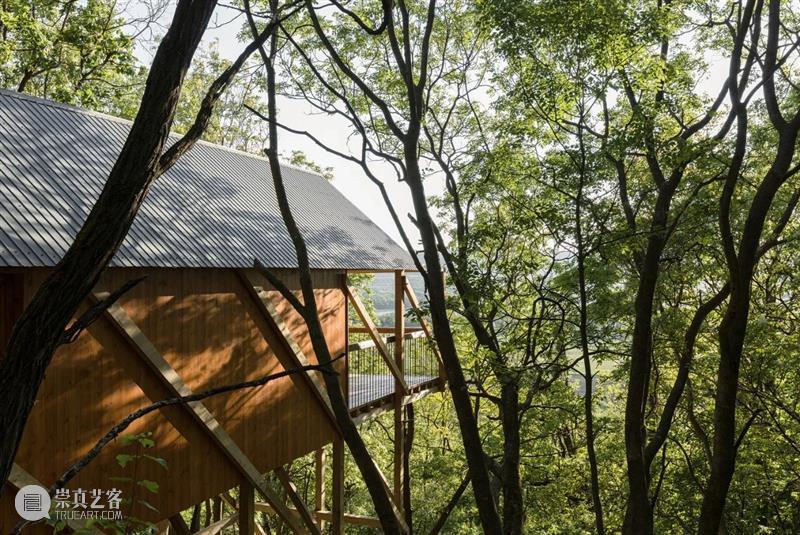 匈牙利“十二支柱”森林度假木屋 / RJZS Architects 支柱 木屋 匈牙利 森林 Balázs DanyZe begény 多瑙河 景致 匈牙利北部 崇真艺客