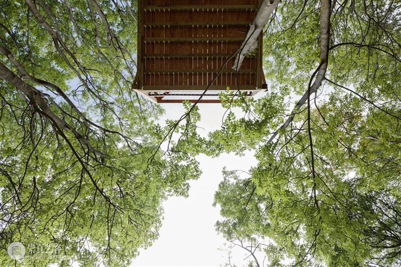 匈牙利“十二支柱”森林度假木屋 / RJZS Architects 支柱 木屋 匈牙利 森林 Balázs DanyZe begény 多瑙河 景致 匈牙利北部 崇真艺客