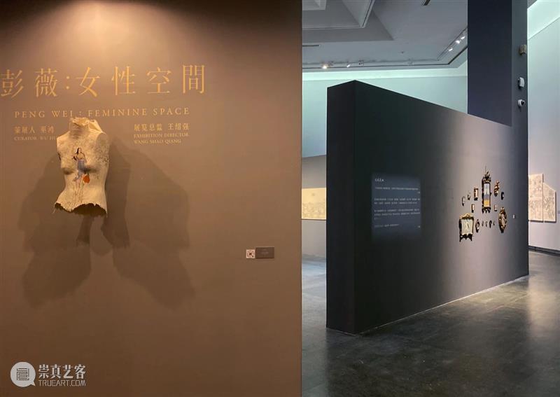 彭薇获选2020“Best of the Best 罗博之选”年度艺术家 罗博 艺术家 彭薇 年度 罗博报 世界上 持续时间 媒体 生命力 专业 崇真艺客