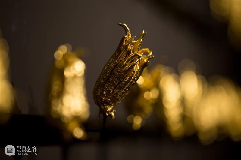 彭薇获选2020“Best of the Best 罗博之选”年度艺术家 罗博 艺术家 彭薇 年度 罗博报 世界上 持续时间 媒体 生命力 专业 崇真艺客