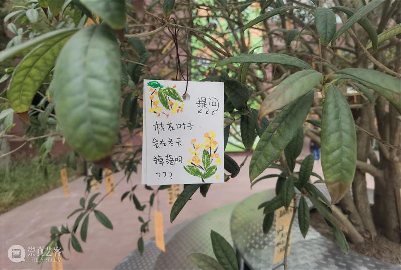 活动回顾 | iSTART小小导览员活动回顾 iSTART 导览员 活动 A4美术馆 身影 项目 花样 孩子 游戏 小朋友 崇真艺客