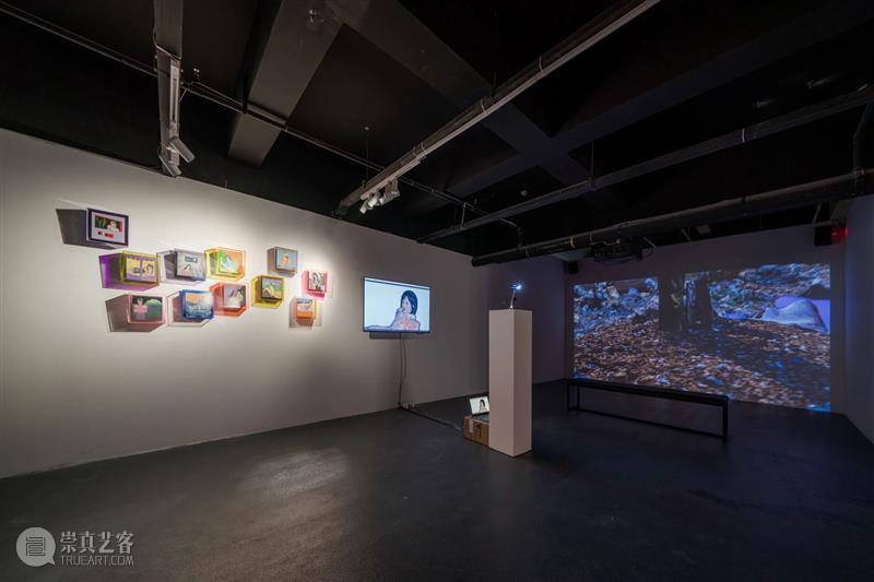 A4展览 | “附近的人”、“闪点”双展正式开幕&展览揭秘 视频资讯 A4am 附近 闪点 开幕式 视频 麓湖 A4美术馆 国际 艺术家 项目 yà 崇真艺客