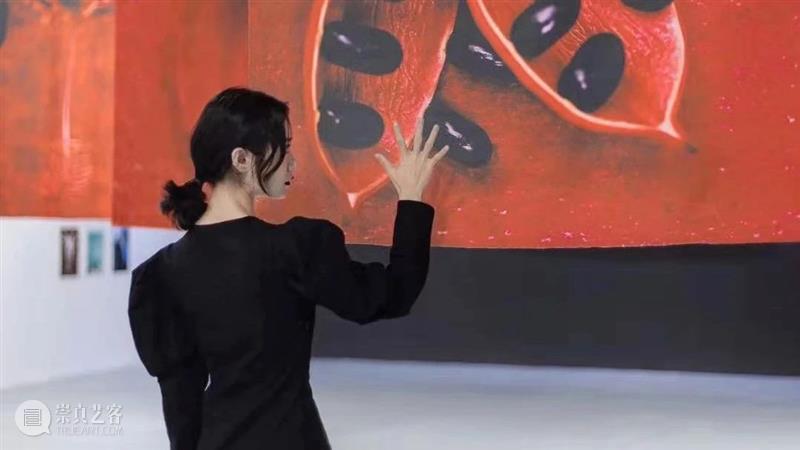 艺术带给我们勇气、信心与希望——2020集美·阿尔勒国际摄影季精彩纷呈圆满落幕 集美 阿尔勒 国际 摄影季 艺术 勇气 信心 希望 假期 帷幕 崇真艺客
