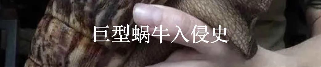 对巨型的超现实主义迷恋 超现实主义 利维坦 人类 进步史 奇观 莱布尼茨 洛克 培根 西方 历史 崇真艺客