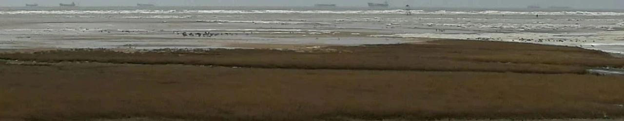 幼黎  |  隐啼的洋流 洋流 隐啼 虚空隐啼 小说 北京故事 幼黎诗摄影精灵 沙发 黎明 蛋壳 湖水 崇真艺客