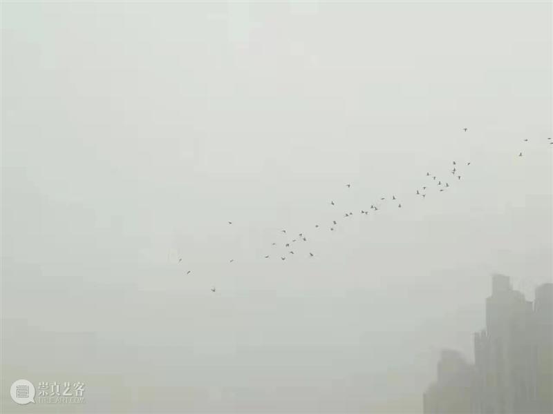 幼黎  |  隐啼的洋流 洋流 隐啼 虚空隐啼 小说 北京故事 幼黎诗摄影精灵 沙发 黎明 蛋壳 湖水 崇真艺客