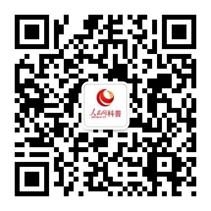 什么样的人才叫懂生活？ 生活 什么样 人才 快节奏 时间 知乎 文章 见识 眼界 公众 崇真艺客
