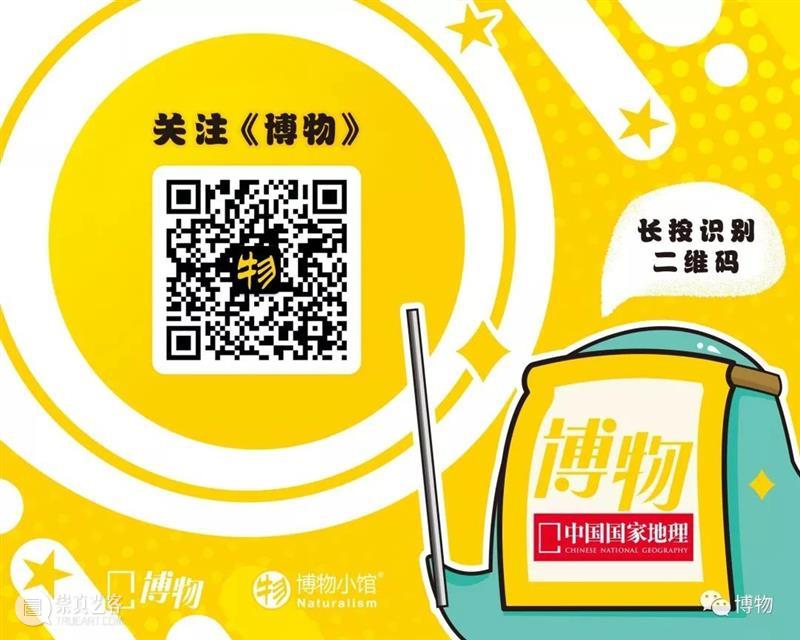 什么样的人才叫懂生活？ 生活 什么样 人才 快节奏 时间 知乎 文章 见识 眼界 公众 崇真艺客
