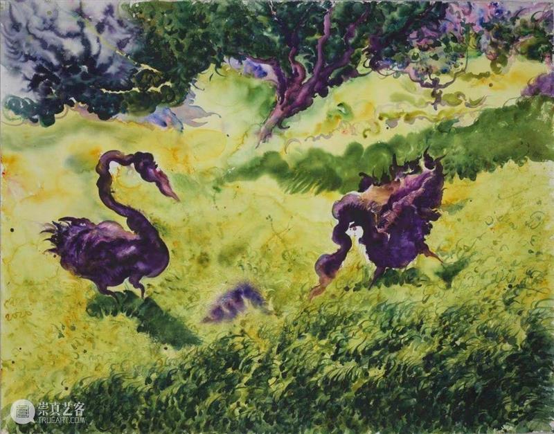 汪民安｜关于伍礼的绘画 伍礼 汪民安 果实 水彩 艺术家 红树林 画廊 绘画 痉挛 画面 崇真艺客