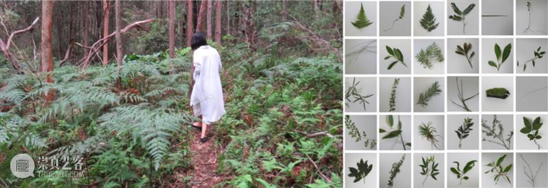 Flaneur in the insular cities - Island Ecology Chapter 1 崇真艺客