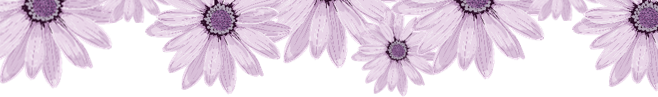 招生 | 2021年春季芭蕾启蒙班开班啦~ 芭蕾 玻璃 气质 味道 世界上 舞种 美的 个体式 儿女 魅力 崇真艺客