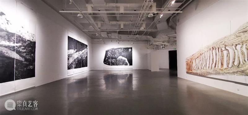 邀请函 | 魂兮归来——郭志刚作品展将于1月9日在西安崔振宽美术馆开幕 西安 崔振宽美术馆 魂兮归来 郭志刚 作品展 邀请函 学术 侯昌恒 品人 时间 崇真艺客