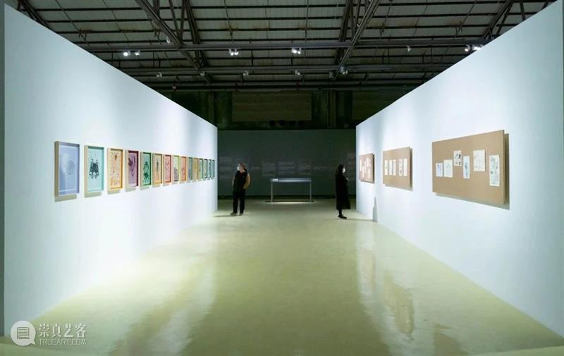 [ OCAT深圳馆｜展览回顾 ]策展课II：跨年联合呈现—OCAT深圳馆X华·美术馆 OCAT 深圳馆 华·美术馆 跨年 策展人 崔灿灿 美术馆 馆长 冯峰 策展 崇真艺客