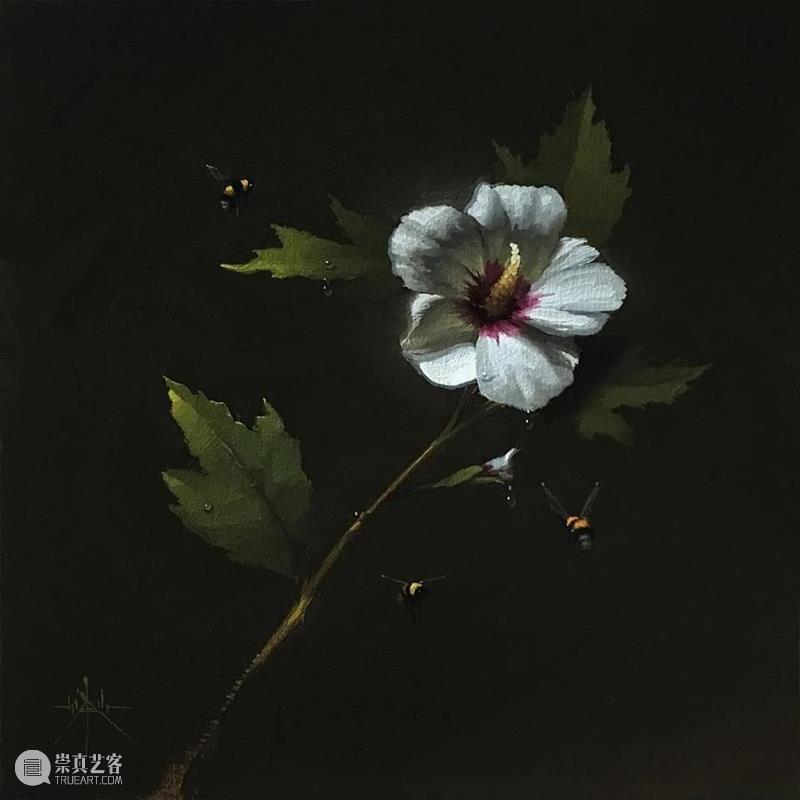 会发光的静物 静物 美国 画家 背景 明暗 特征 现代 情感 荷兰 黄金时代 崇真艺客