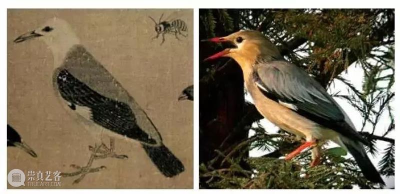 父亲自编教材，竟教出宫廷画家！ 宫廷 画家 父亲 教材 北宋 八大家 问题 很多人 可能 时间 崇真艺客