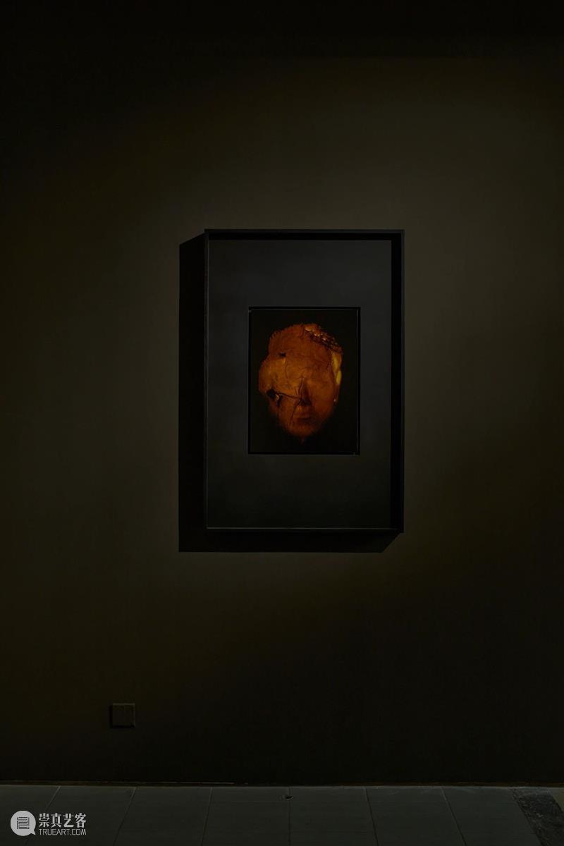 BANK 正在展出｜陈哲《你仍然知道的事》展览概念视频 ｜ Exhibition Video Tour BANK 陈哲 概念 视频 目前 艺术家 展厅 现场 时间 命运 崇真艺客
