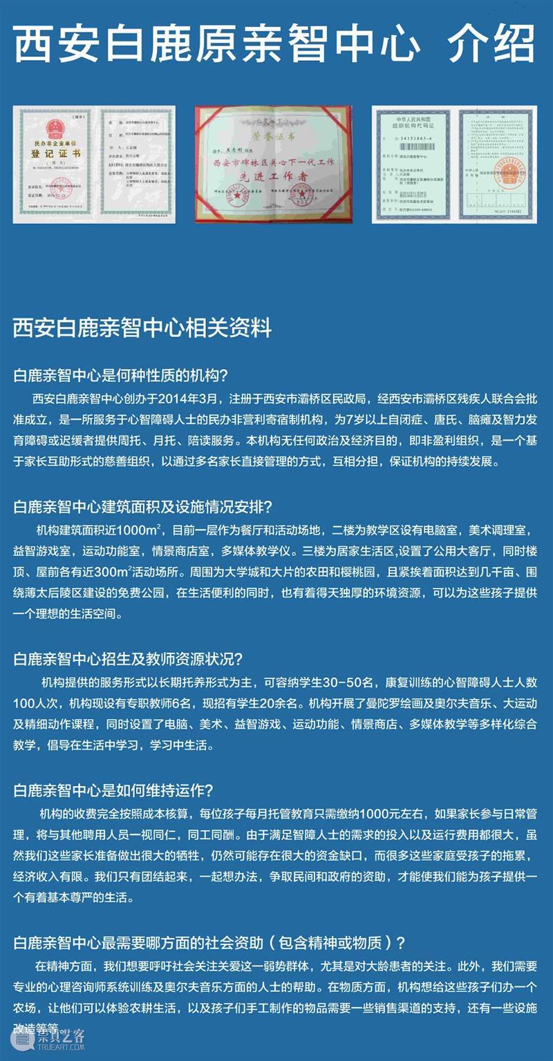 全面呈现|冲决藩篱·星星世界——关爱自闭症儿童特别展 崇真艺客