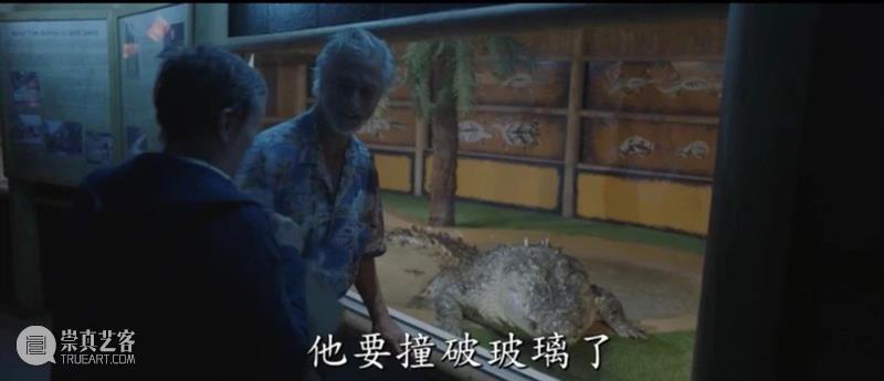 去年最好的独立电影,是它 ! 电影 上方 影院 页面 右上 星标 赵婷 威尼斯 影节金狮奖 之后 崇真艺客