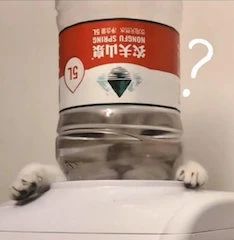 张艺谋张末父女档拍新片；章子怡首部电视剧曝预告 张艺谋 新片 章子怡 电视剧 预告 影视 好剧 小豆 劳模 导演 崇真艺客
