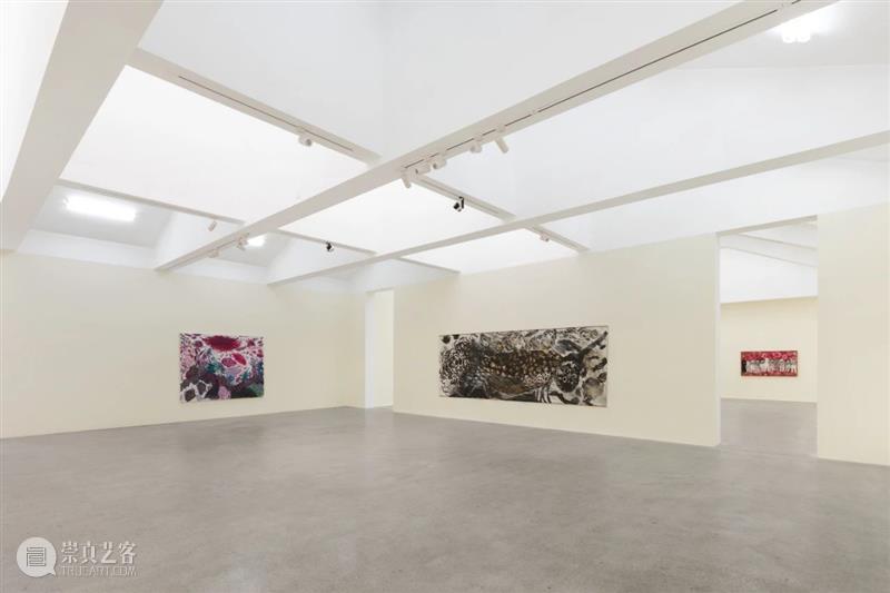 国家美术·展讯丨神隐录——一了个展 个展 国家 美术 展讯 丨神隐录 名称 神隐录 时间 地点 站台 崇真艺客