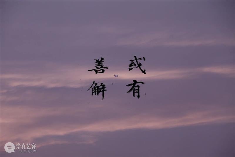 M50展览 | 「救猫咯！那狗呢？」艺术品义卖展 | 睿品画廊 艺术品 睿品 画廊 义卖展 海报 寒潮 大地 上海 零下 流浪猫 崇真艺客